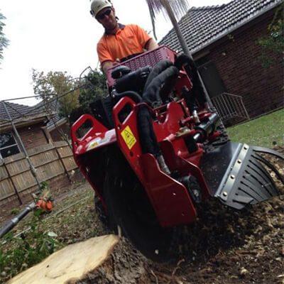 Stump grinding Sydney